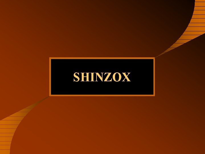 SHINZOX 