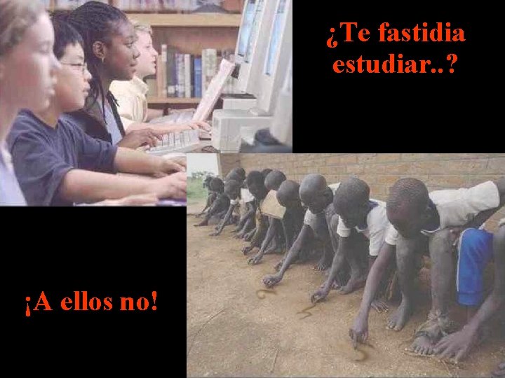 ¿Te fastidia estudiar. . ? ¡A ellos no! 