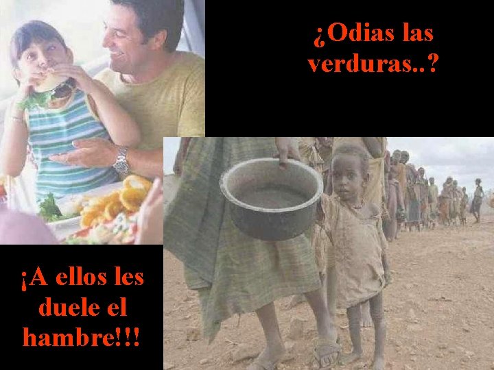 ¿Odias las verduras. . ? ¡A ellos les duele el hambre!!! 