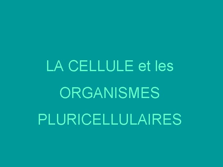 LA CELLULE et les ORGANISMES PLURICELLULAIRES LA CELLULE et les ORGANISMES PLURICELLULAIRES