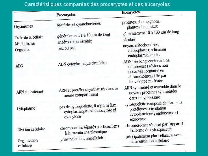 Caractéristiques comparées des procaryotes et des eucaryotes Caractéristiques comparées des procaryotes et des eucaryotes
