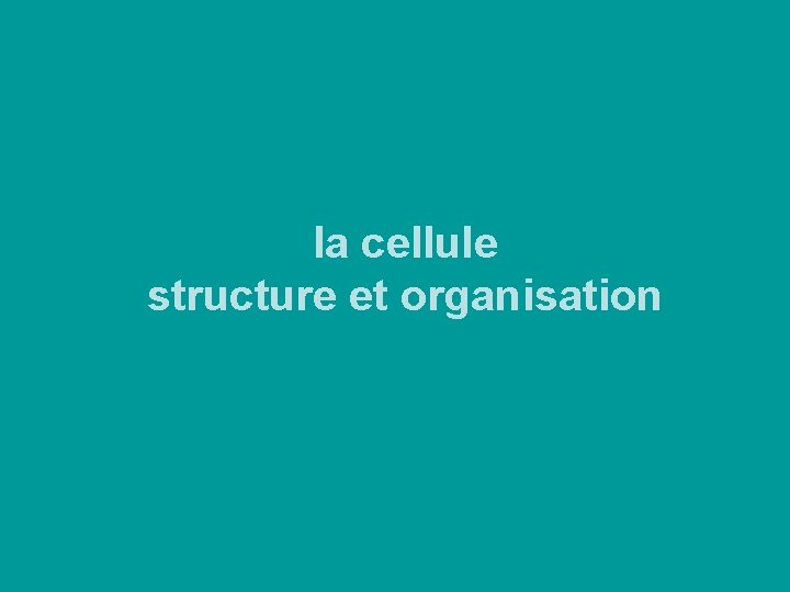 la cellule structure et organisation la cellule structure et organisation