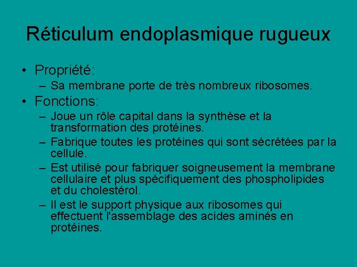 Réticulum endoplasmique rugueux • Propriété: – Sa membrane porte de très nombreux ribosomes. • Réticulum endoplasmique rugueux • Propriété: – Sa membrane porte de très nombreux ribosomes. •