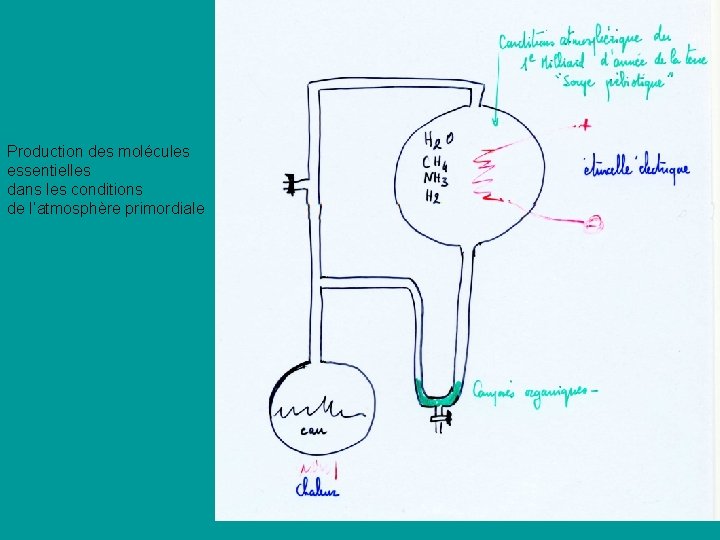 Production des molécules essentielles dans les conditions de l’atmosphère primordiale Production des molécules essentielles dans les conditions de l’atmosphère primordiale