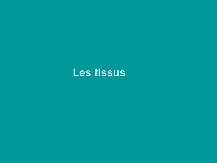 Les tissus Les tissus