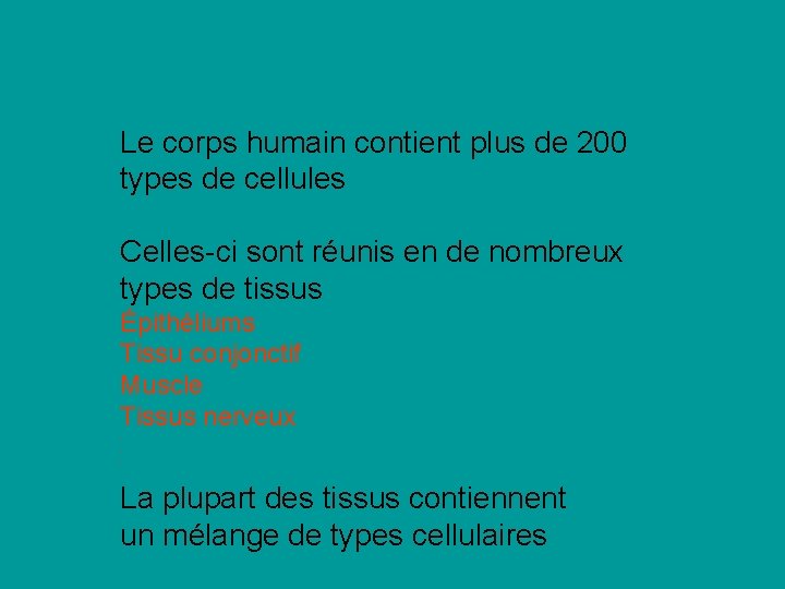 Le corps humain contient plus de 200 types de cellules Celles-ci sont réunis en Le corps humain contient plus de 200 types de cellules Celles-ci sont réunis en