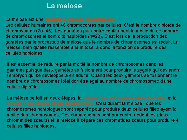 La meiose La méiose est une division cellulaire réductionelle. Les cellules humaines ont 46 La meiose La méiose est une division cellulaire réductionelle. Les cellules humaines ont 46