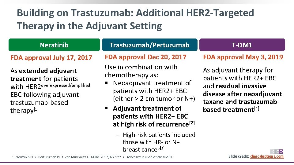 Building on Trastuzumab: Additional HER 2 -Targeted Therapy in the Adjuvant Setting Neratinib FDA