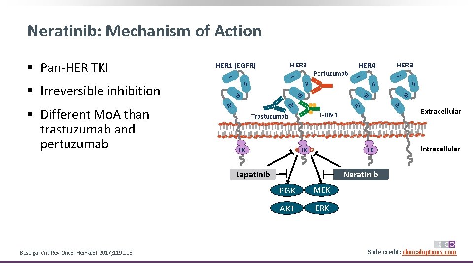 Neratinib: Mechanism of Action IV T-DM 1 P TK III IV IV Trastuzumab TK