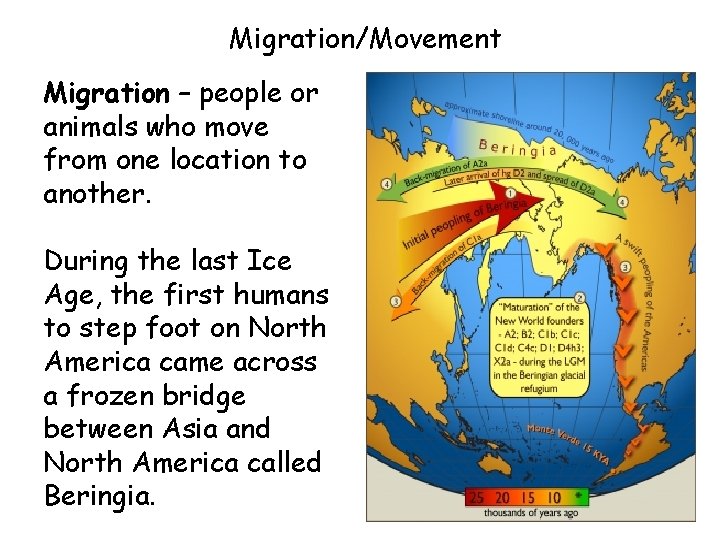 Migration/Movement Migration – people or animals who move from one location to another. During