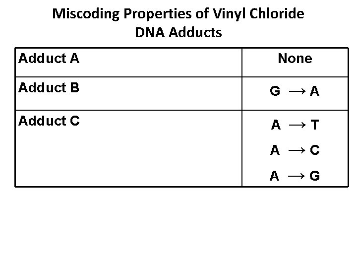 Companion Power Point slide set The Exposome Investigating
