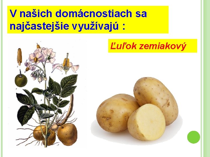 V našich domácnostiach sa najčastejšie využívajú : Ľuľok zemiakový 