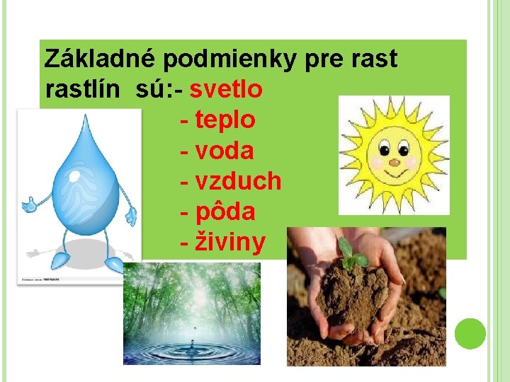 Základné podmienky pre rastlín sú: - svetlo - teplo - voda - vzduch -