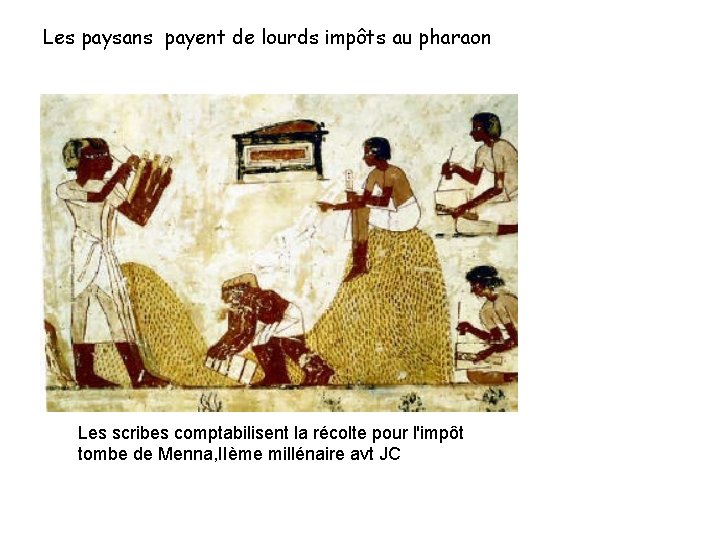 Les paysans payent de lourds impôts au pharaon Les scribes comptabilisent la récolte pour