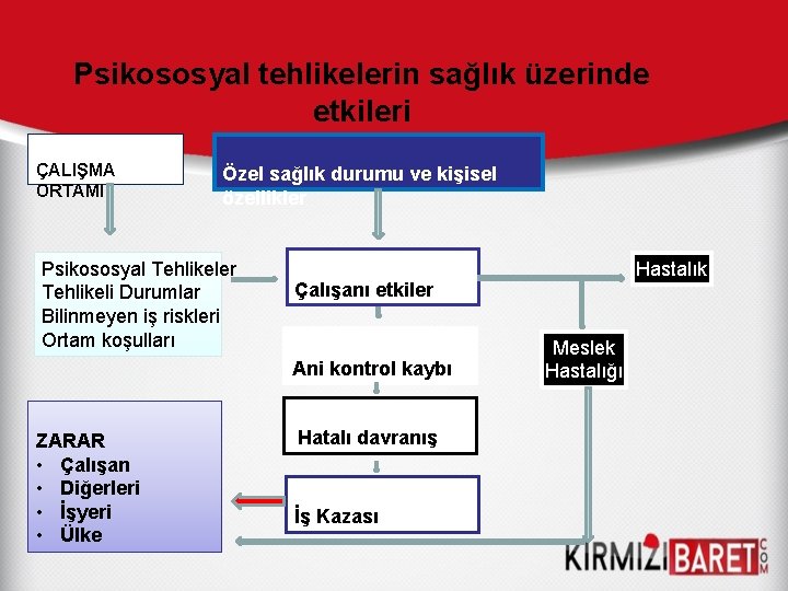 Psikososyal tehlikelerin sağlık üzerinde etkileri ÇALIŞMA ORTAMI Özel sağlık durumu ve kişisel özellikler Psikososyal