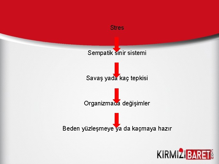 Stres Sempatik sinir sistemi Savaş yada kaç tepkisi Organizmada değişimler Beden yüzleşmeye ya da