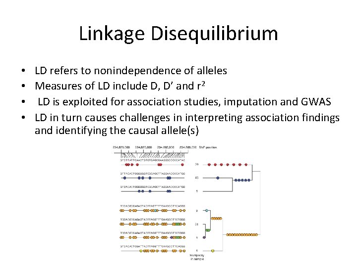 Linkage Disequilibrium • • LD refers to nonindependence of alleles Measures of LD include