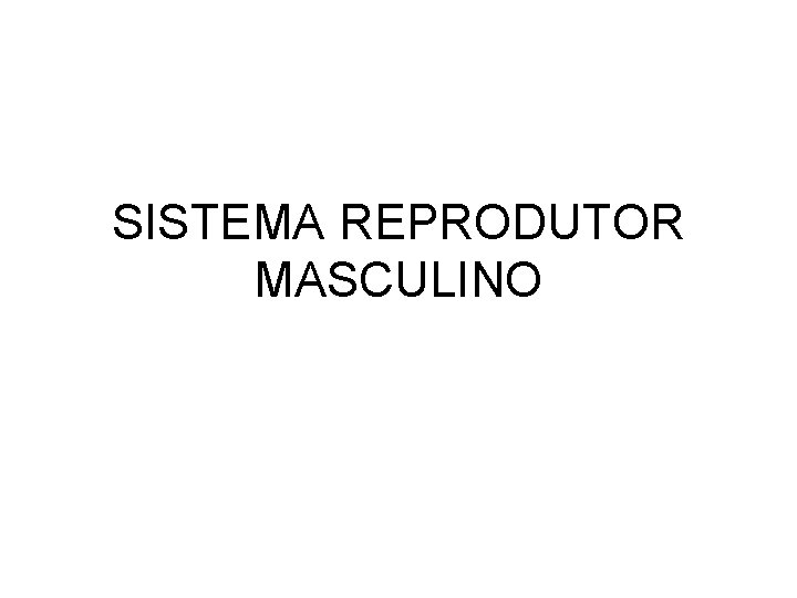 SISTEMA REPRODUTOR MASCULINO 