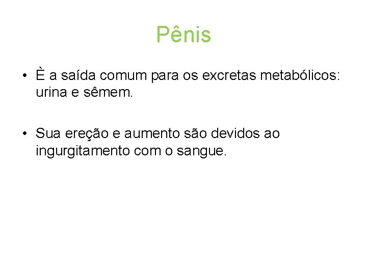 Pênis • È a saída comum para os excretas metabólicos: urina e sêmem. •