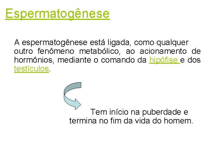 Espermatogênese A espermatogênese está ligada, como qualquer outro fenômeno metabólico, ao acionamento de hormônios,