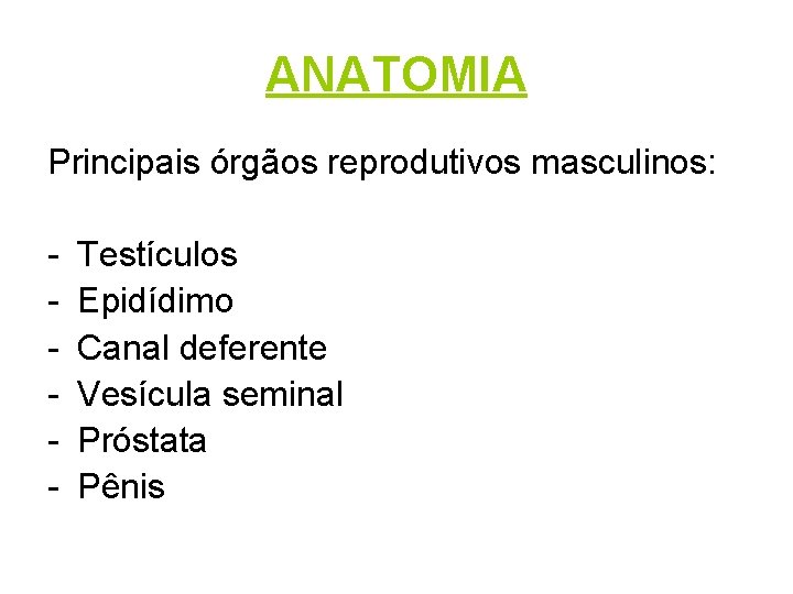 ANATOMIA Principais órgãos reprodutivos masculinos: - Testículos Epidídimo Canal deferente Vesícula seminal Próstata Pênis