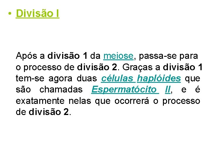  • Divisão I Após a divisão 1 da meiose, passa-se para o processo