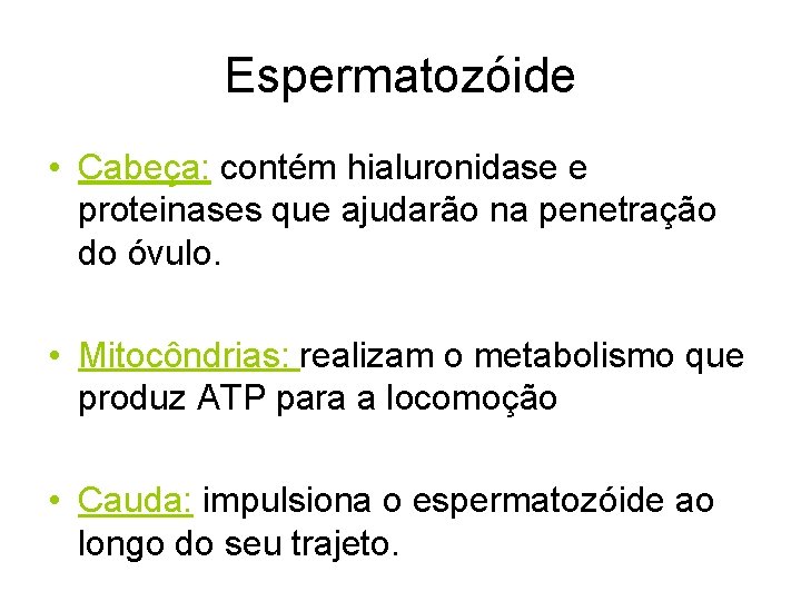 Espermatozóide • Cabeça: contém hialuronidase e proteinases que ajudarão na penetração do óvulo. •