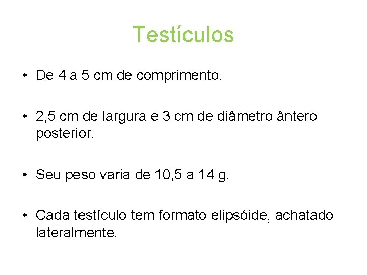 SISTEMA REPRODUTOR MASCULINO SISTEMA REPRODUTOR MASCULINO ANATOMIA 