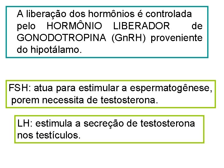 A liberação dos hormônios é controlada pelo HORMÔNIO LIBERADOR de GONODOTROPINA (Gn. RH) proveniente