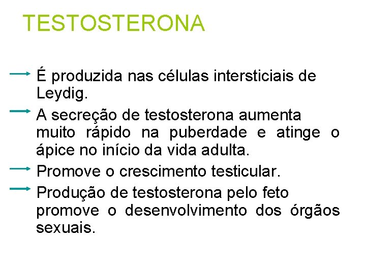 TESTOSTERONA É produzida nas células intersticiais de Leydig. A secreção de testosterona aumenta muito