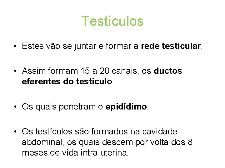 Testículos • Estes vão se juntar e formar a rede testicular. • Assim formam