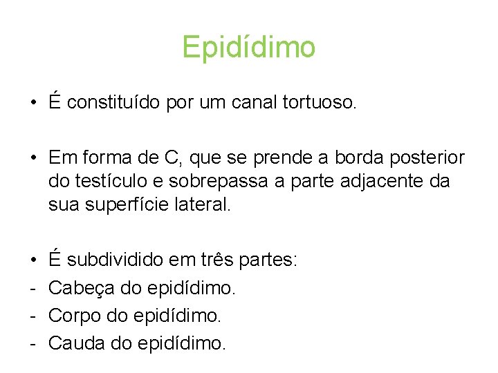 Epidídimo • É constituído por um canal tortuoso. • Em forma de C, que