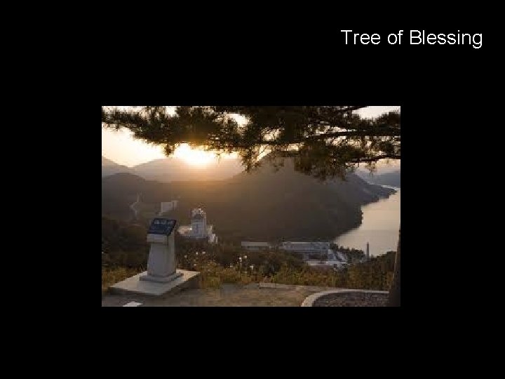 Tree of Blessing 