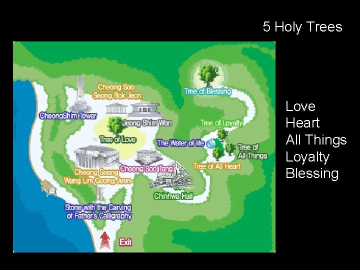 5 Holy Trees Love Heart All Things Loyalty Blessing 