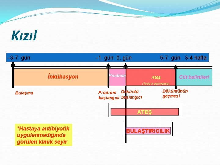 Kızıl -3 -7. gün -1. gün 0. gün İnkübasyon 5 -7. gün 3 -4