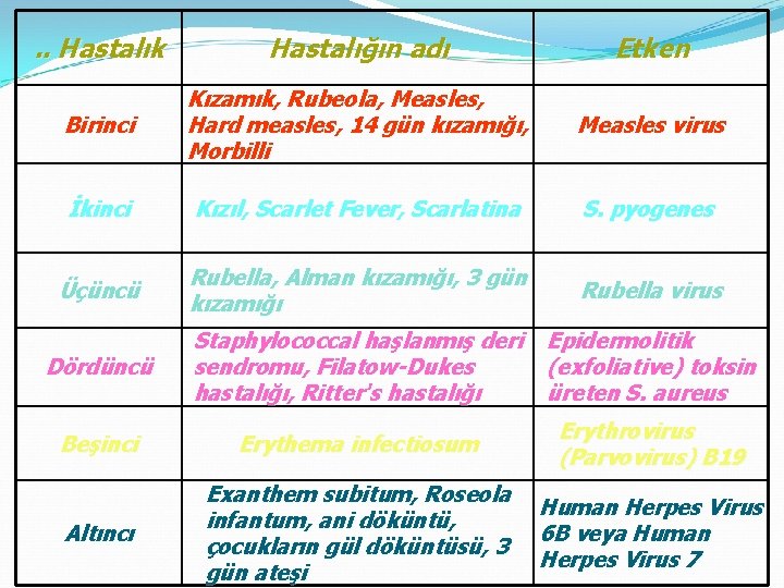 . . Hastalık Hastalığın adı Etken Birinci Kızamık, Rubeola, Measles, Hard measles, 14 gün