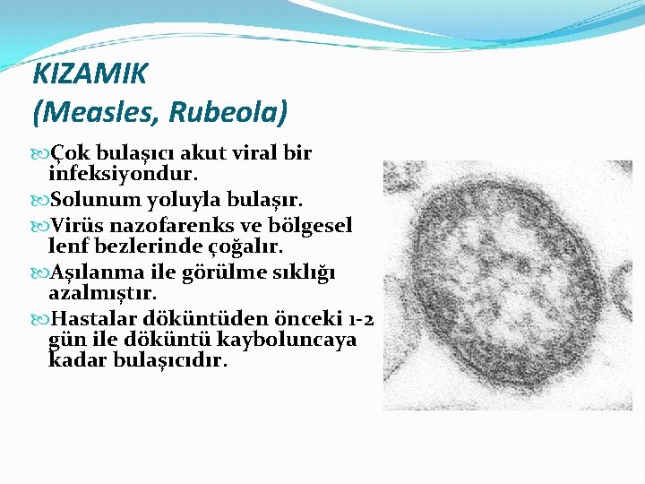 KIZAMIK (Measles, Rubeola) Çok bulaşıcı akut viral bir infeksiyondur. Solunum yoluyla bulaşır. Virüs nazofarenks