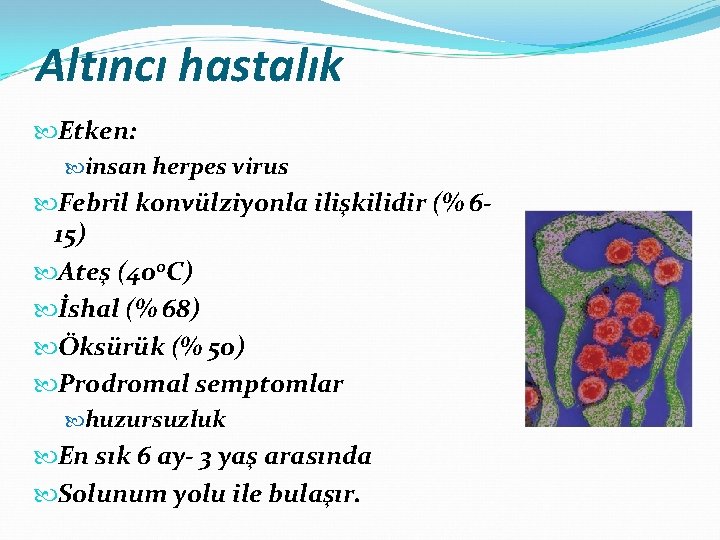 Altıncı hastalık Etken: insan herpes virus Febril konvülziyonla ilişkilidir (% 615) Ateş (40 o.