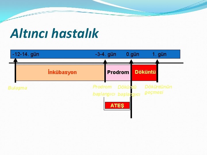 Altıncı hastalık -12 -14. gün -3 -4. gün İnkübasyon Bulaşma 0. gün Prodrom 1.