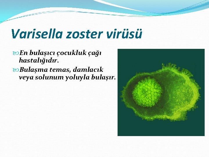 Varisella zoster virüsü En bulaşıcı çocukluk çağı hastalığıdır. Bulaşma temas, damlacık veya solunum yoluyla