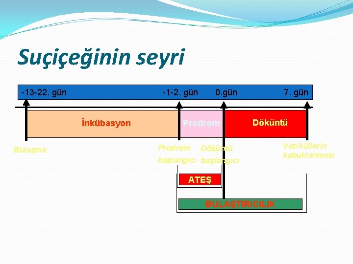 Suçiçeğinin seyri -13 -22. gün -1 -2. gün İnkübasyon Bulaşma 0. gün Prodrom 7.