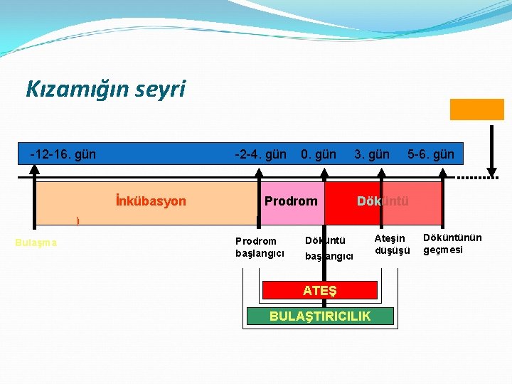 Kızamığın seyri -12 -16. gün -2 -4. gün İnkübasyon 0. gün Prodrom 3. gün