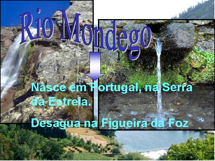 Nasce em Portugal, na Serra da Estrela. Desagua na Figueira da Foz 