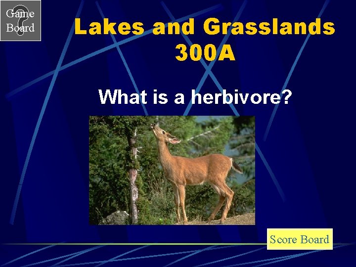 Game Board Lakes and Grasslands 300 A What is a herbivore? Score Board 