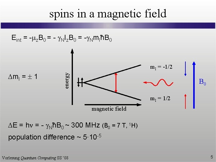 spins in a magnetic field Eint = -mz. B 0 = - g. NIz.
