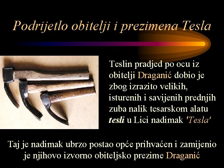 Podrijetlo obitelji i prezimena Teslin pradjed po ocu iz obitelji Draganić dobio je zbog