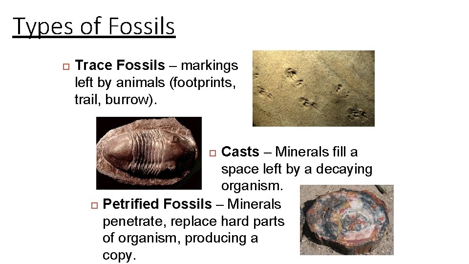 Types of Fossils Trace Fossils – markings left by animals (footprints, trail, burrow). Casts