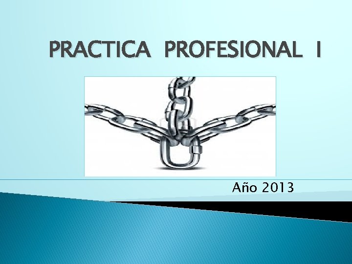 PRACTICA PROFESIONAL I Año 2013 