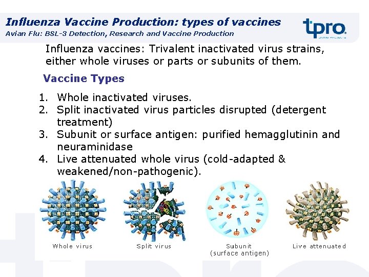 Influenza Vaccine Production: types of vaccines Avian Flu: BSL-3 Detection, Research and Vaccine Production