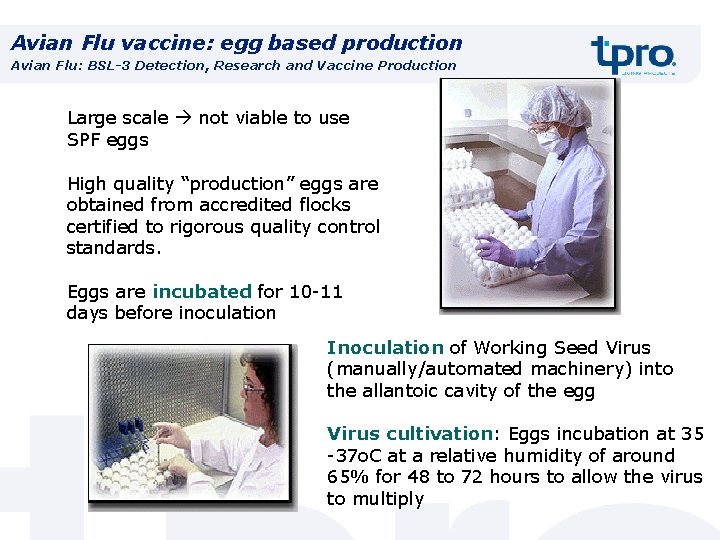 Avian Flu vaccine: egg based production Avian Flu: BSL-3 Detection, Research and Vaccine Production